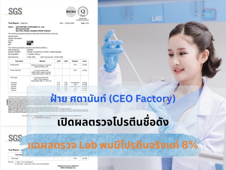 วงการอาหารเสริมสะเทือน! แฉโปรตีนดัง โปรตีนจริงแค่ 8% ที่เหลือแป้ง